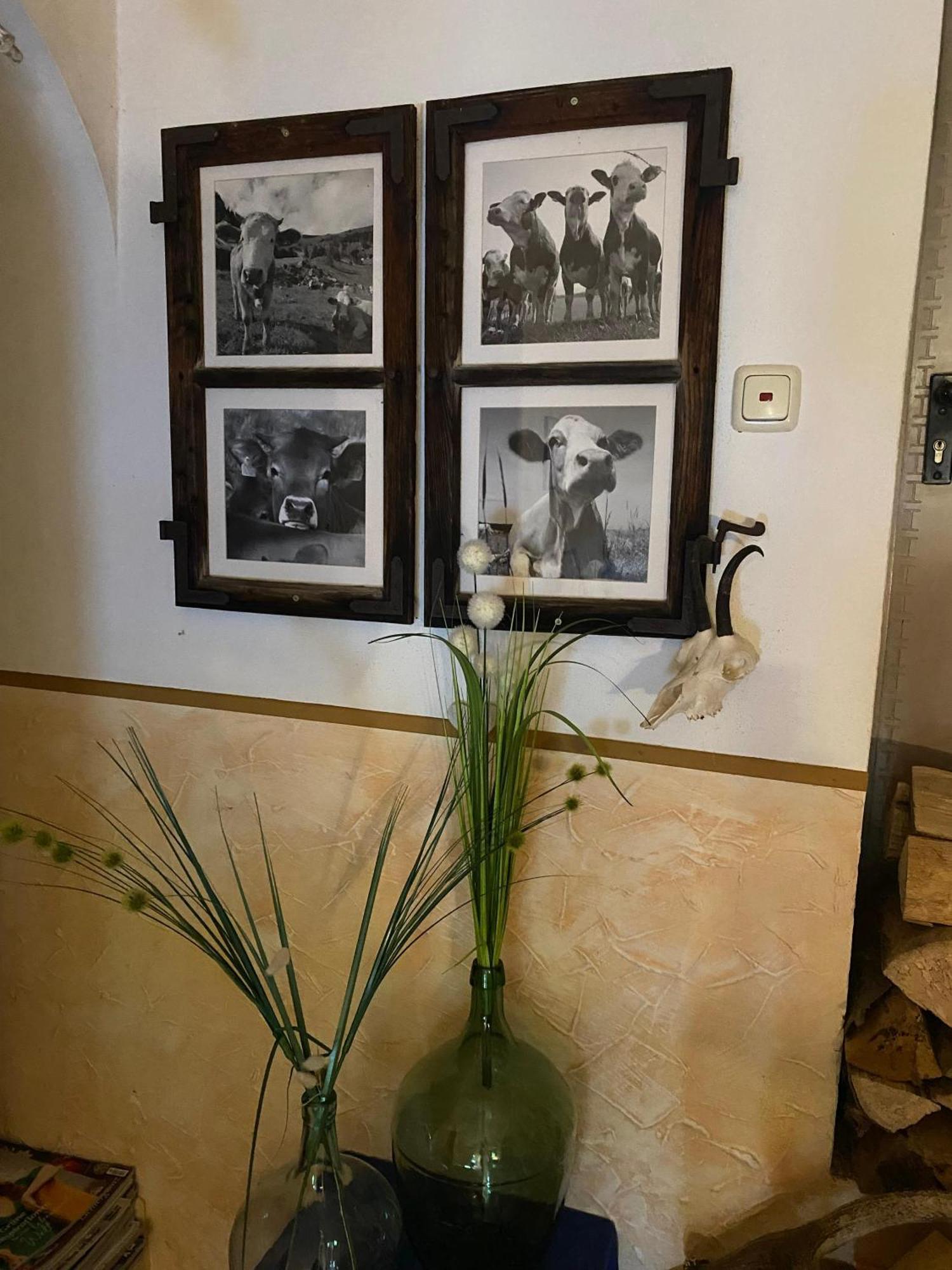 Hansenbauernhof Inkl. Chiemgaukarte Руполдинг Екстериор снимка